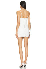 Brias Mini Dress