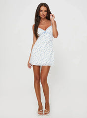 Karena Mini Dress White / Blue Floral